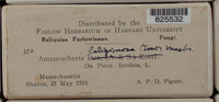 Image Associated With the Occurence